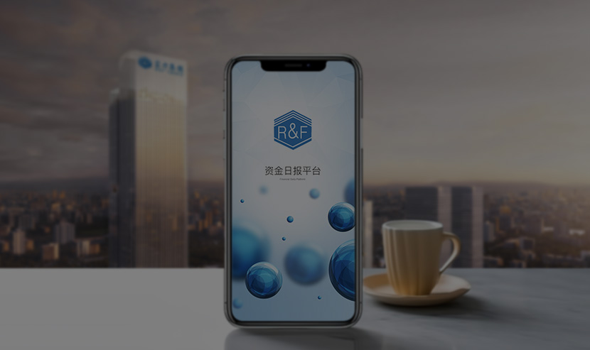 �����ʽ��ձ�APP����